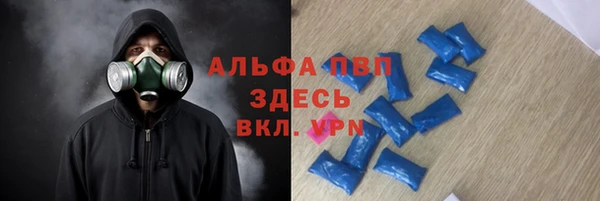 стафф Володарск