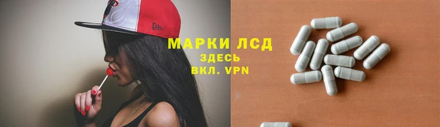 стафф Володарск