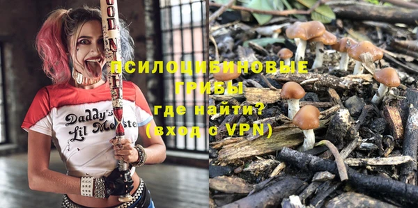 эйфоретик Верея