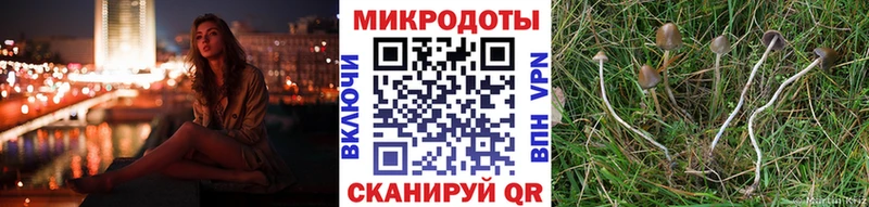 Галлюциногенные грибы мухоморы Дзержинский